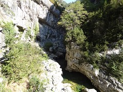 DSC04728