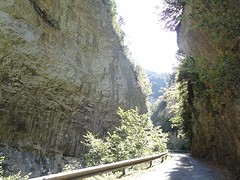 DSC04732
