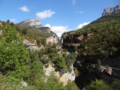 DSC04754