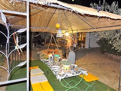 DSC04812