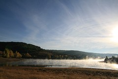 IMG_4296