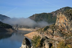 IMG_4338