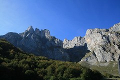 IMG_4440