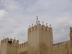 DSC05457