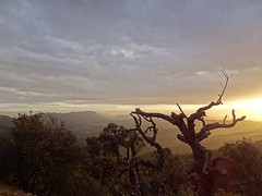 DSC05478