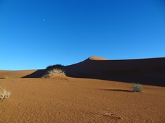 DSC05743