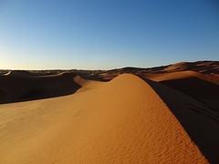 DSC05764