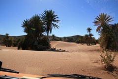 IMG_5311