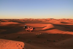 IMG_5351