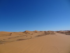 DSC05732