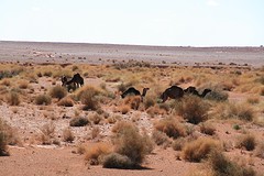 IMG_5184