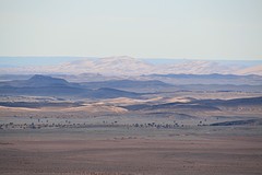 IMG_5222