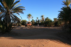 IMG_5267