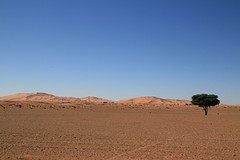 IMG_5320