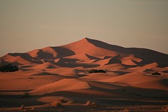 IMG_5358