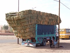 Overloaded