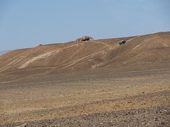 DSC05880 - kopie