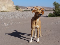 DSC05914 - kopie