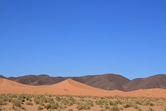 IMG_5393