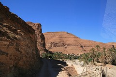 IMG_5921