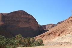IMG_5940
