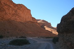 IMG_5951