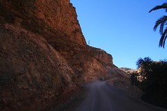IMG_5982
