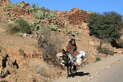 IMG_6010