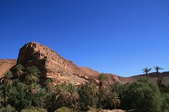IMG_5925