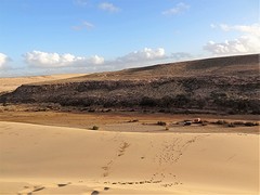 DSC06014