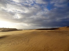 DSC06025