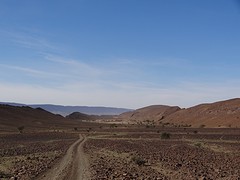 DSC06107