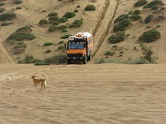 IMG_2933