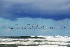 IMG_6329