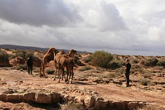 IMG_6543