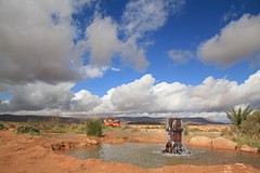 IMG_6558