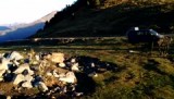 Pyreneeen
