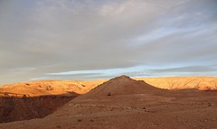DSC06311