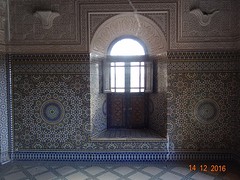 DSC06347