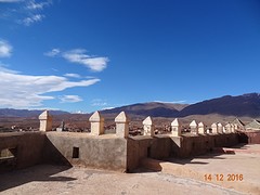 DSC06355