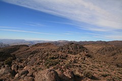 IMG_7379