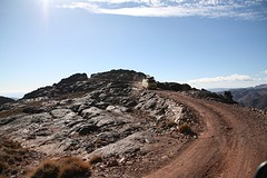 IMG_7387