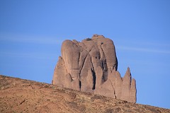 IMG_7457