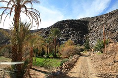 IMG_7465