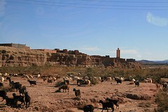 IMG_7576