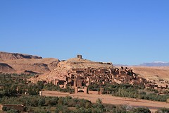IMG_7584