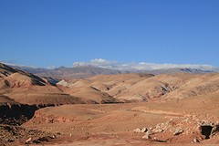 IMG_7622