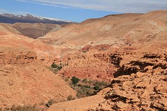 IMG_7663