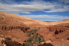 IMG_7669