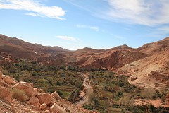 IMG_7677